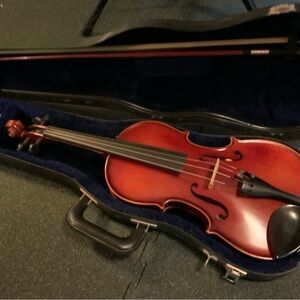 Violin - Beginners model